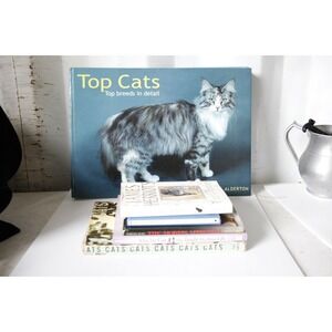 Cat Book Bundle of 6 for the Crazy Cat Lady James Herriot Cat Stories